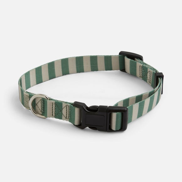 Photo 3 of Stripe Dog Collar