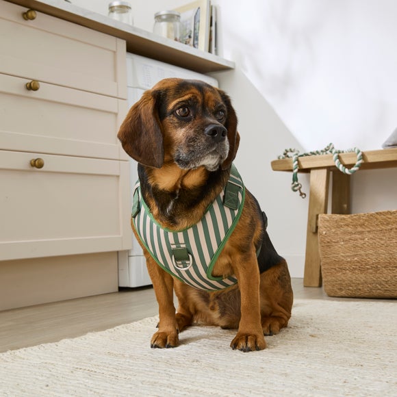 Stripe Dog Harness