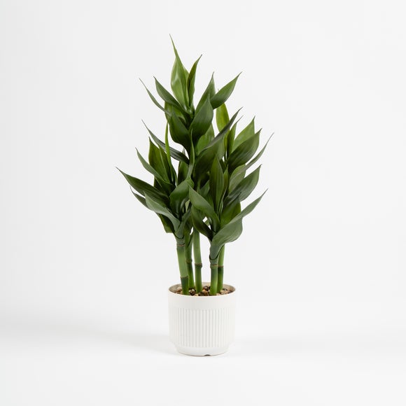 Artificial Lucky Bamboo in White Plant Pot