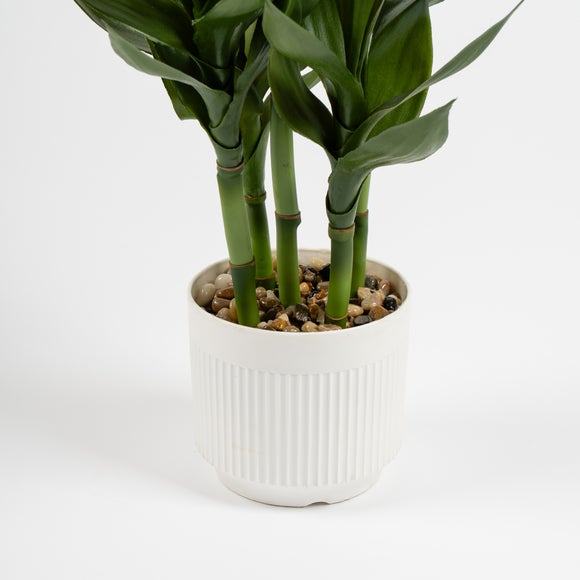 Carousel navigation image position 2 of 3