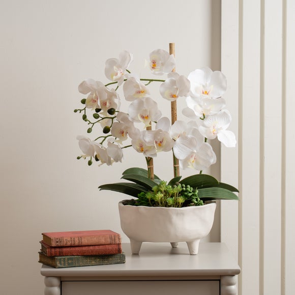 Click to view product details and reviews for Artificial Orchid In Footed Cement Pot.