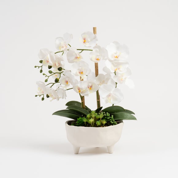 Carousel navigation image position 2 of 3