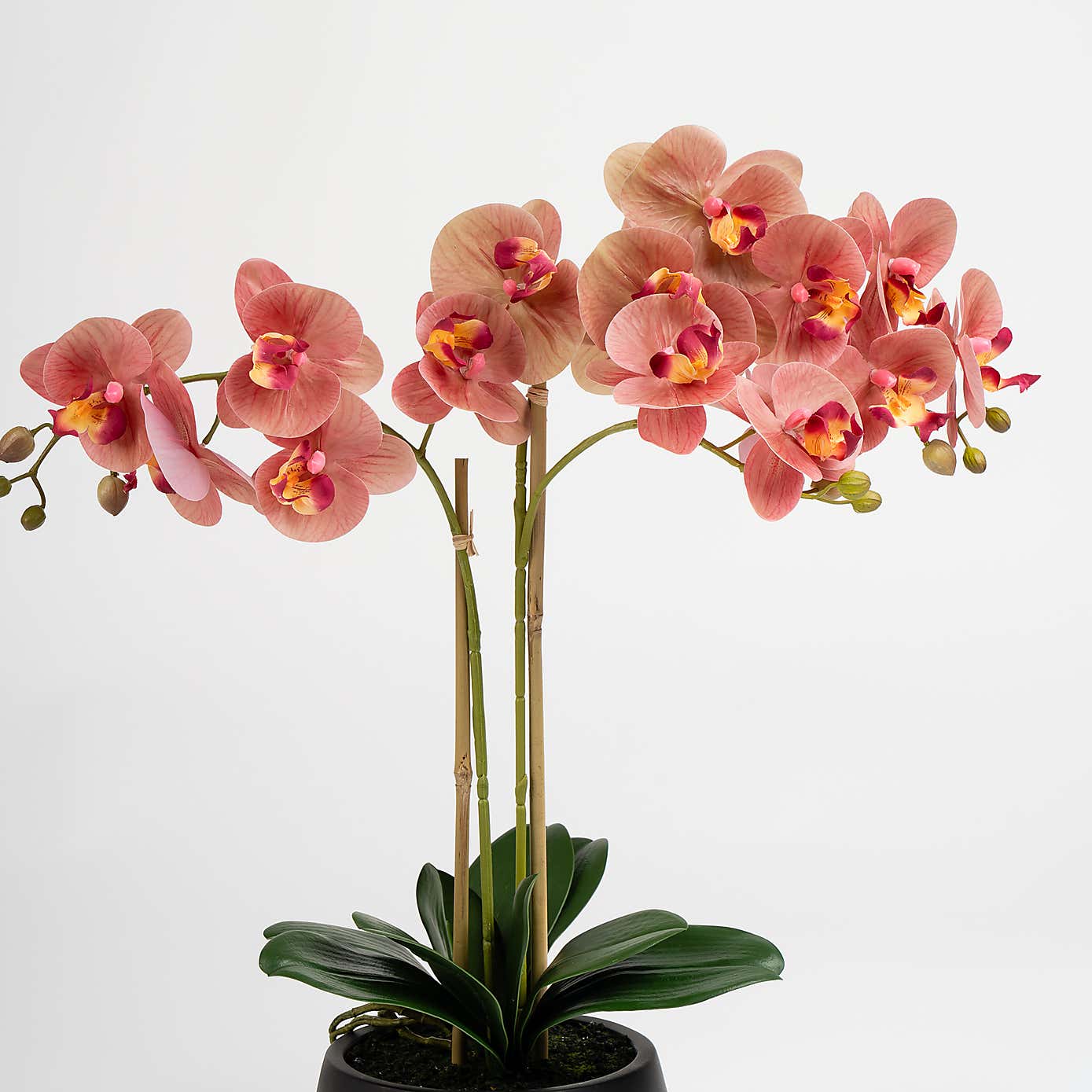 Carousel zoom image position 3 of 3