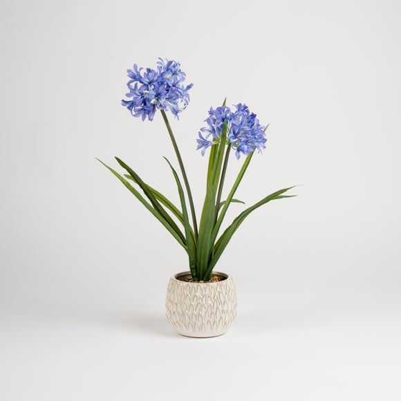 Carousel navigation image position 2 of 3