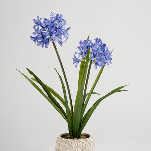 Carousel navigation image position 3 of 3