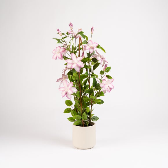 Carousel navigation image position 2 of 3