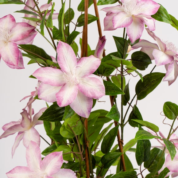 Carousel navigation image position 3 of 3