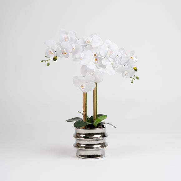 Carousel navigation image position 2 of 3