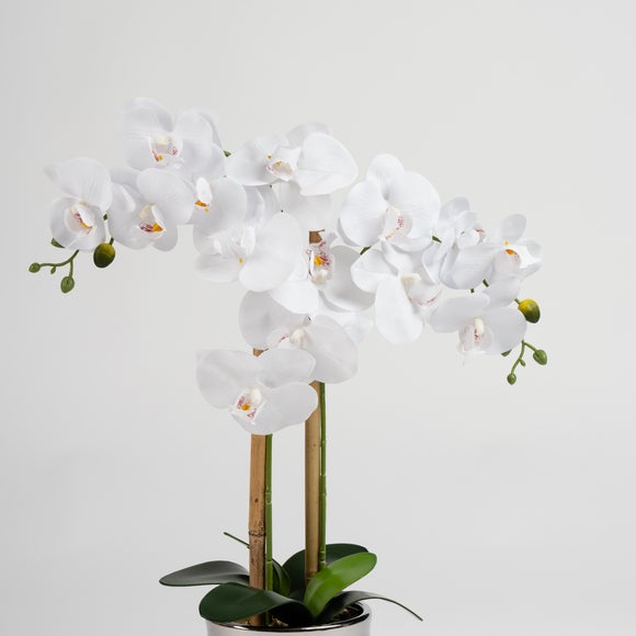 Carousel navigation image position 3 of 3