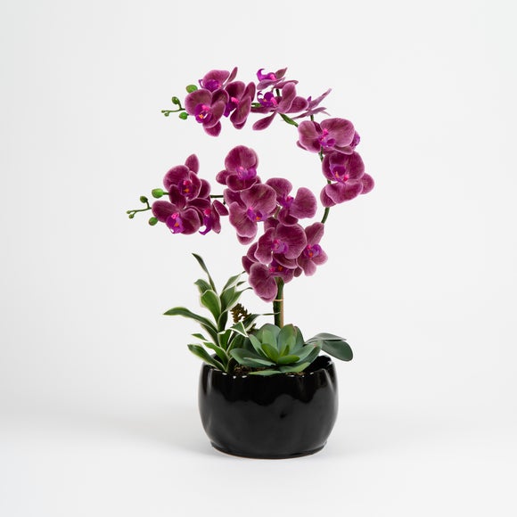 Carousel navigation image position 2 of 3