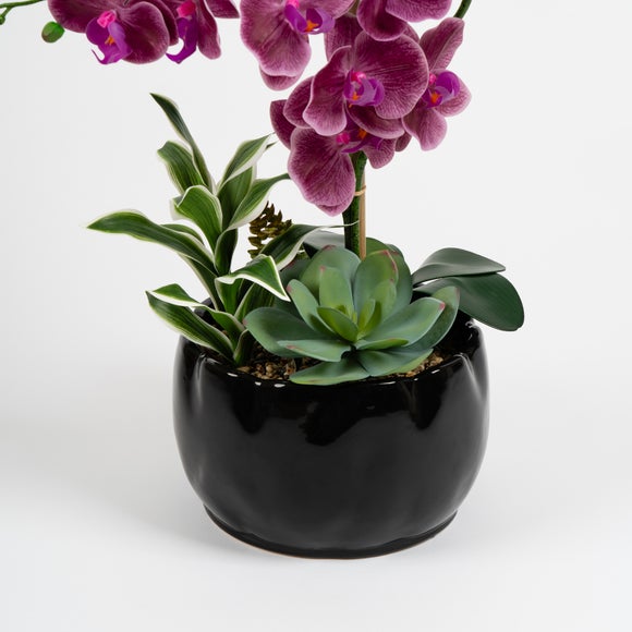 Carousel navigation image position 3 of 3