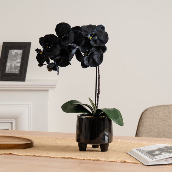 Click to view product details and reviews for Artificial Black Orchid In Ceramic Pot.