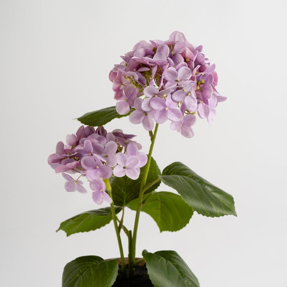 Carousel navigation image position 3 of 3