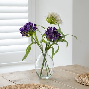 Artificial Agapanthus In Glass Vase