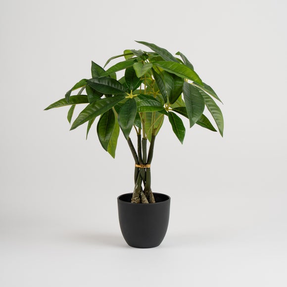 Carousel navigation image position 2 of 3