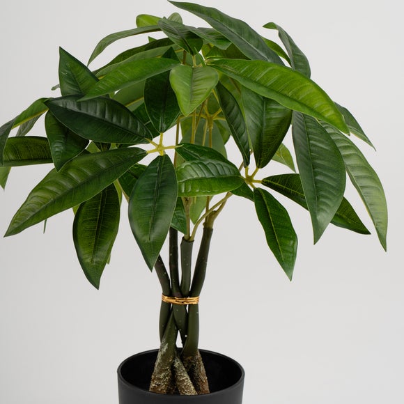 Carousel navigation image position 3 of 3