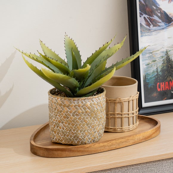 Artificial Aloe in Seagrass Basket