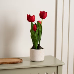 Artificial Tulips In Cement Pot