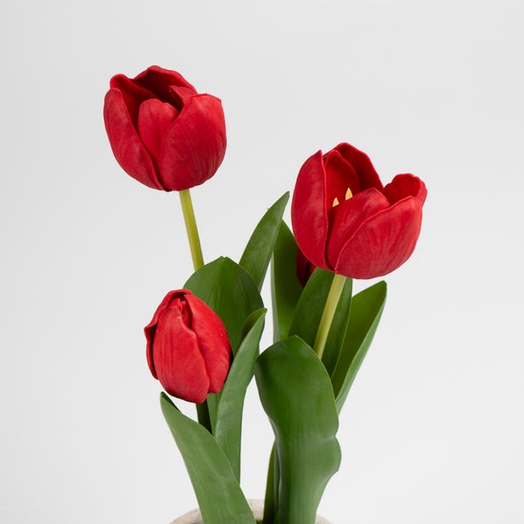 Carousel navigation image position 2 of 3