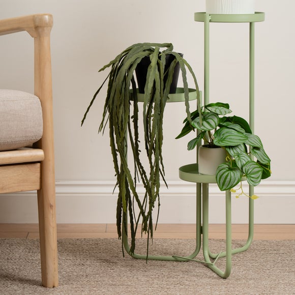 Artificial Trailing Rhipsalis in Black Plant Pot