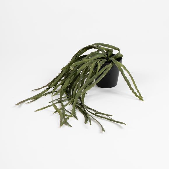 Carousel navigation image position 2 of 3