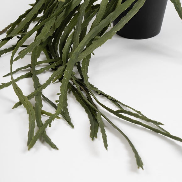 Carousel navigation image position 3 of 3