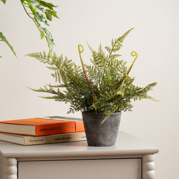 View Artificial Fern In Rustic Cement Pot View Artificial Fern In Rustic Cement Pot