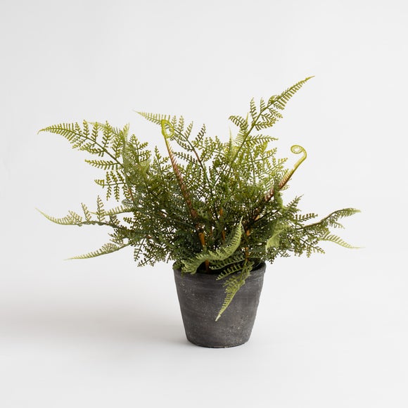 Artificial Fern in Rustic Cement Pot