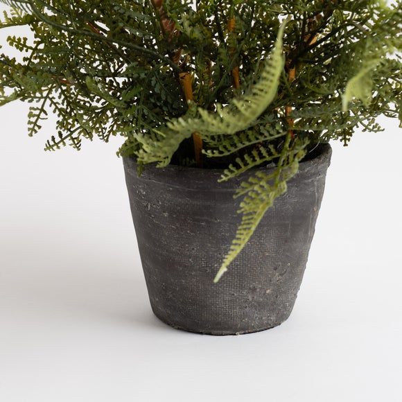 Carousel navigation image position 2 of 3