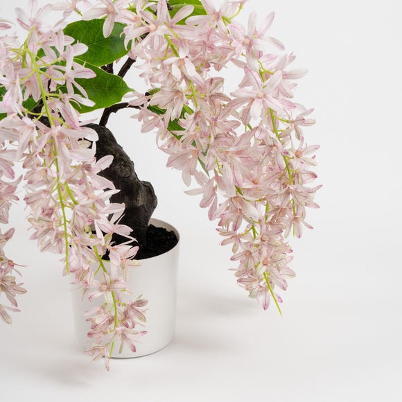 Carousel navigation image position 2 of 3