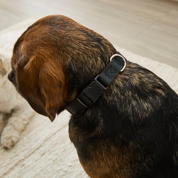 Simple Dog Collar