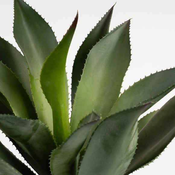 Carousel navigation image position 2 of 3