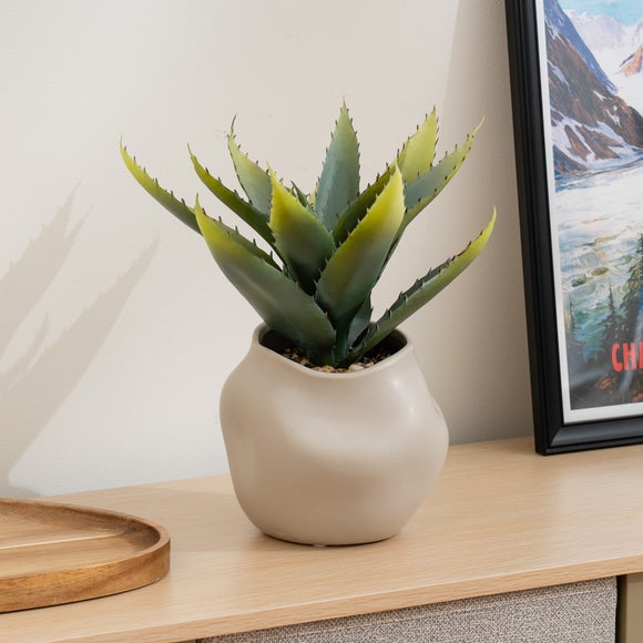 Artificial Aloe in Ceramic Pot