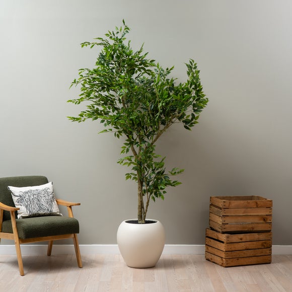 Artificial Ficus Tree in Cream Plant Pot