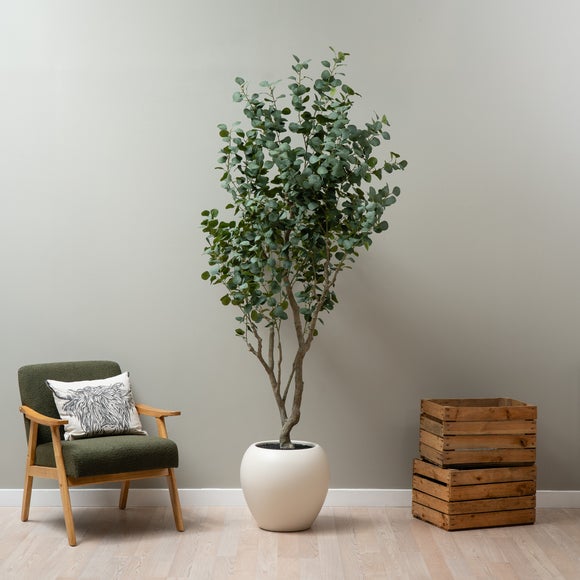 Artificial Eucalyptus Tree in Cream Plant Pot
