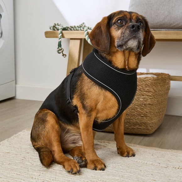 View Mesh Dog Harness View Mesh Dog Harness