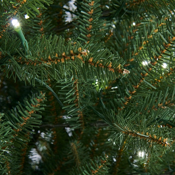 Carousel navigation image position 2 of 3