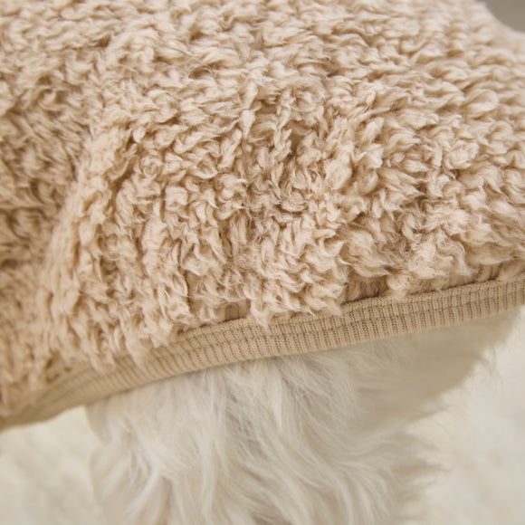 Photo 2 of Teddy Dog Jumper