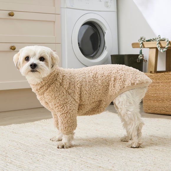 Teddy Dog Jumper