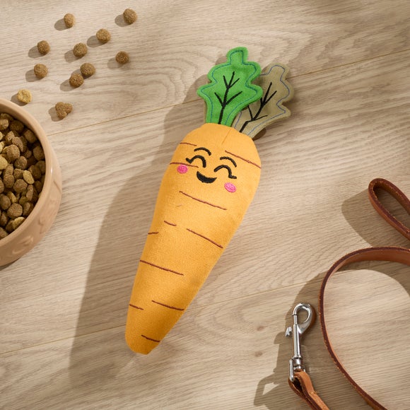 Pet Carrot Toy