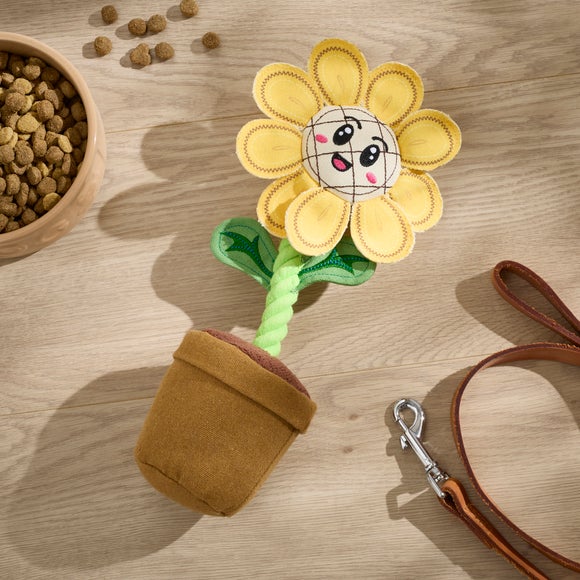 Pet Flower Toy