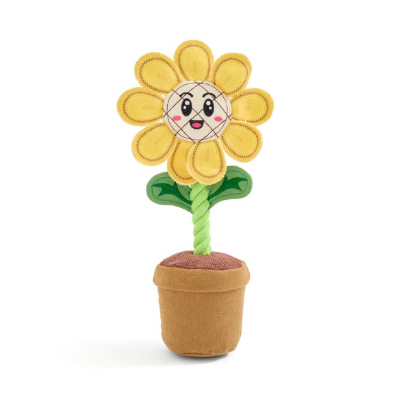 Carousel navigation image position 3 of 3