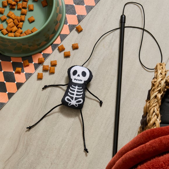 Skeleton Cat Teaser