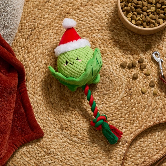 Brussel Sprout Rope Dog Toy
