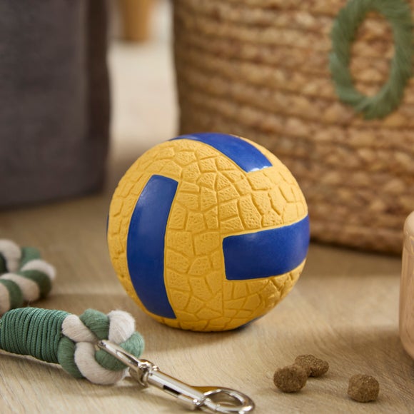 Latex Volleyball Pet Toy