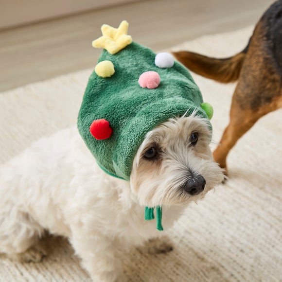 Pet Christmas Tree Hat