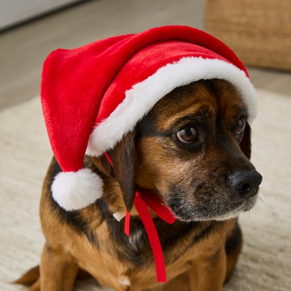 Pet Santa Hat