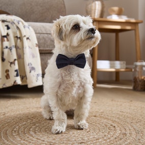 Navy Velvet Pet Bow Tie