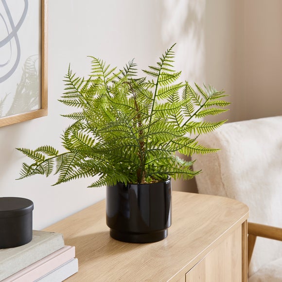 Photo of artificial fern in simple ceramic plant pot