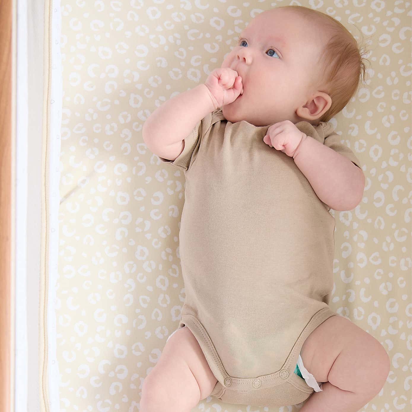 Carousel zoom image position 3 of 3